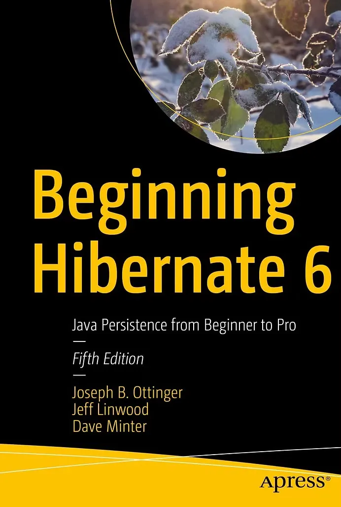 Beginning Hibernate 6